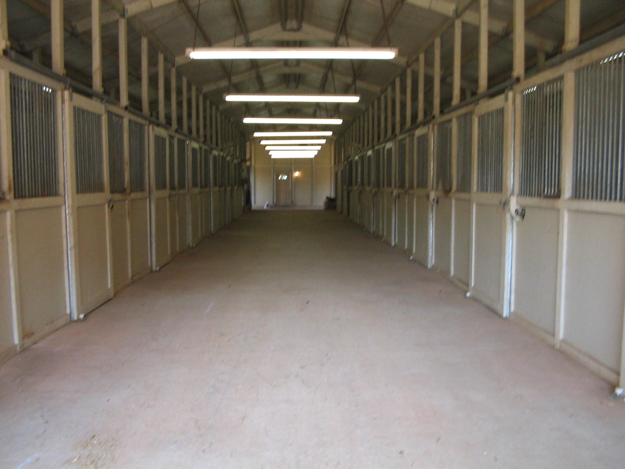 barn3.jpg