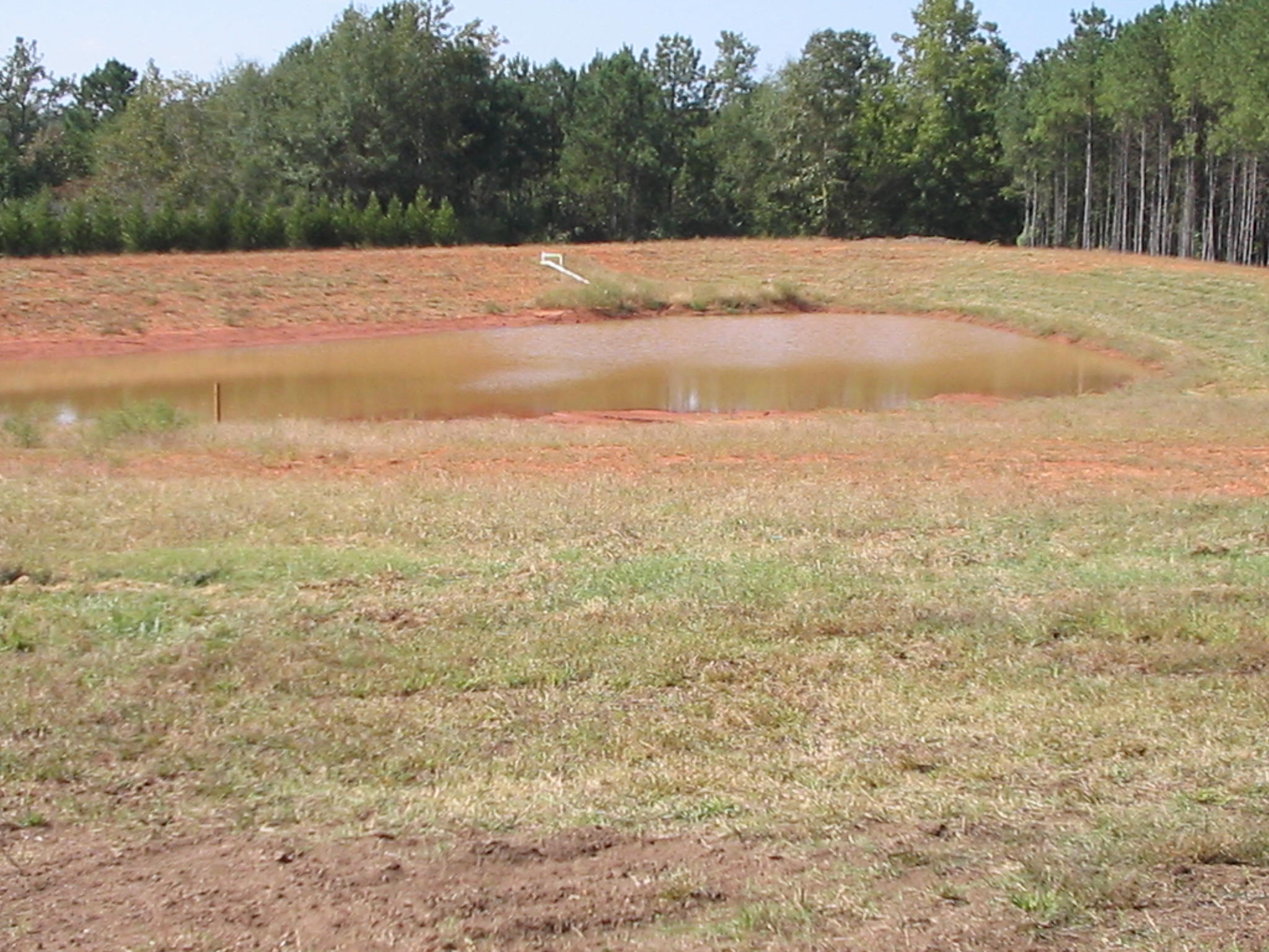 pond1.jpg